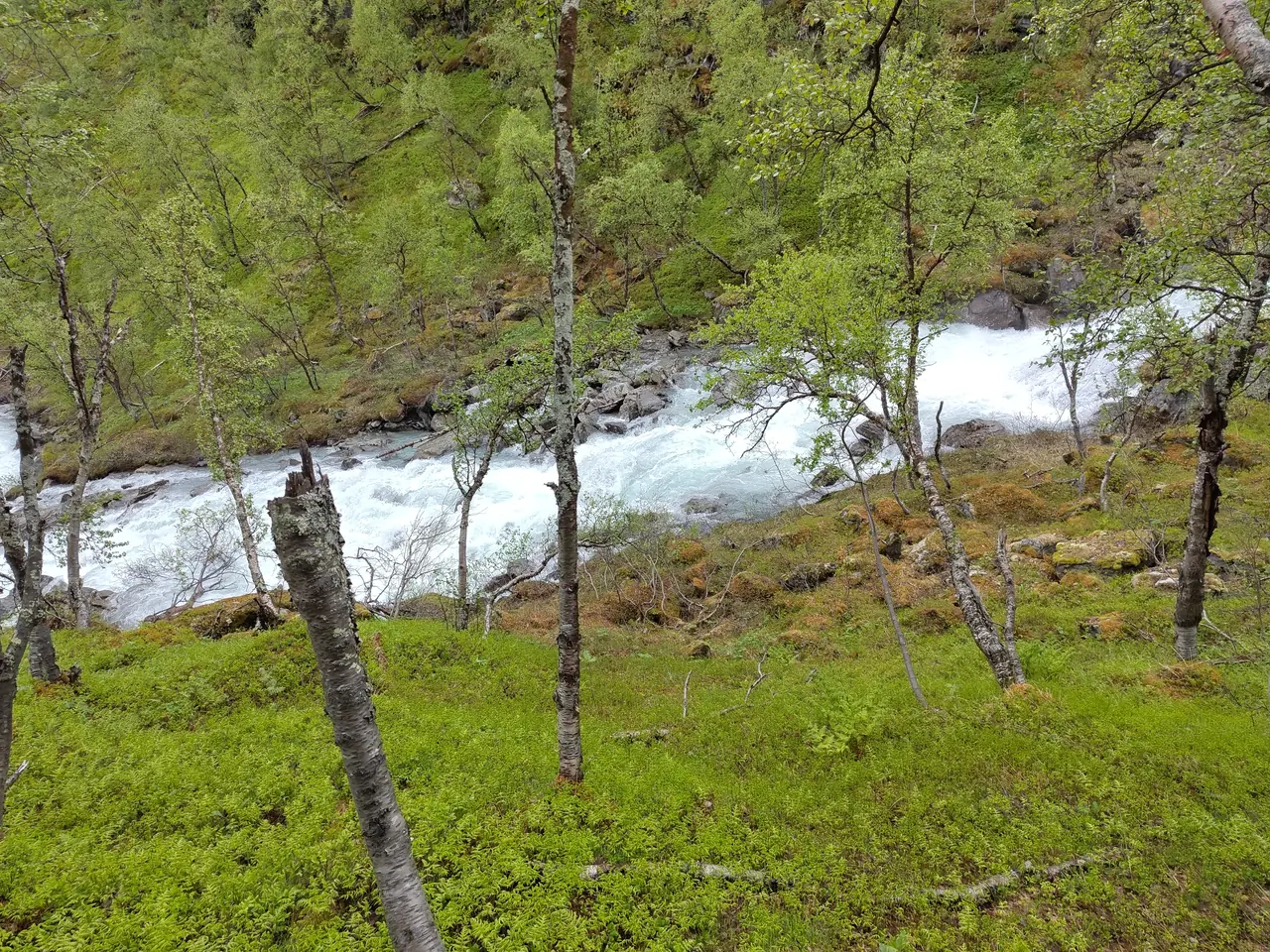 The Steindalsbreen river.