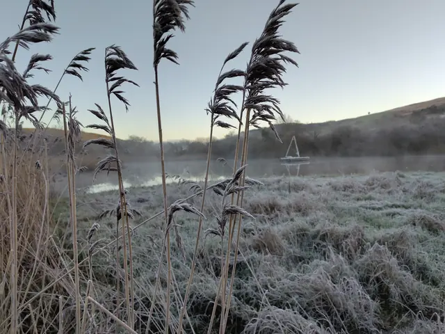 The raft in the early-morning frost