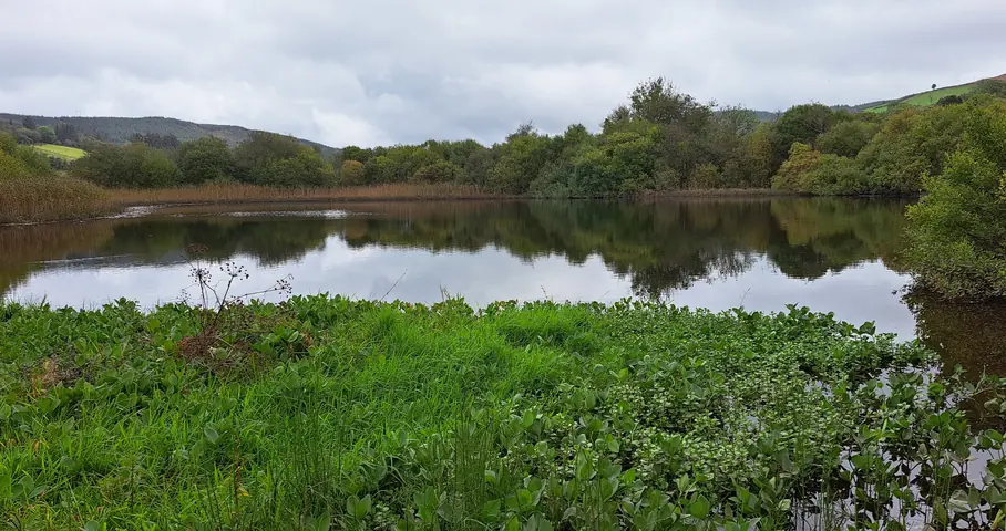 Middle Lake at Three Lakes